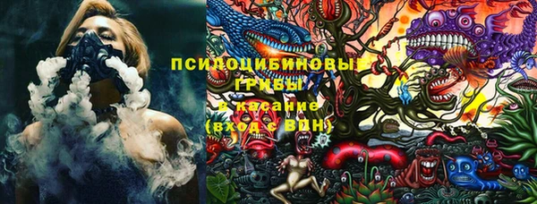СК Алзамай