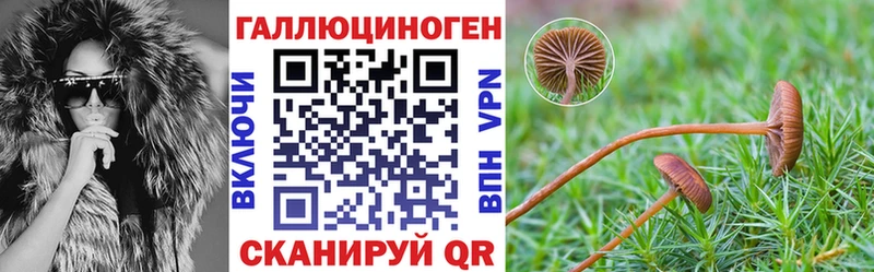 Галлюциногенные грибы MAGIC MUSHROOMS  Новоалександровск 